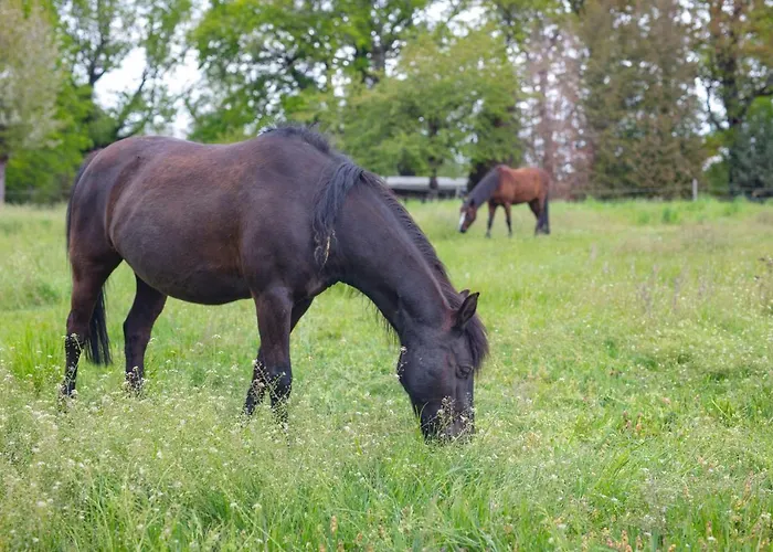 Hotel Sl'otel Im Parforcehaus 4*